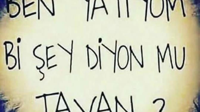 Şu an kimler bu durumda iyi geceler herkese cancanlar?