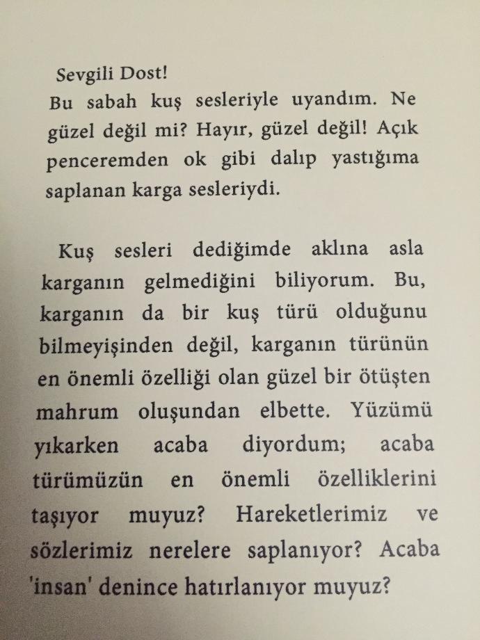 Sevgili dost Acaba insan denince hatırlanıyor muyuz?? Detay detay ?