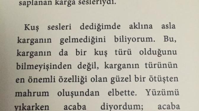 Sevgili dost Acaba insan denince hatırlanıyor muyuz? Detay detay?