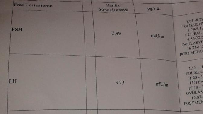 Detayı yorumlayabilirmisiniz rica etsem? Pko için gittim hormon testi sonuçlarım bunlar. Sizce nedir durum arkadaşlar?