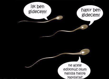 Bu spermler başka spermler :) sizce nasıllar beğenirsiniz umarım ?