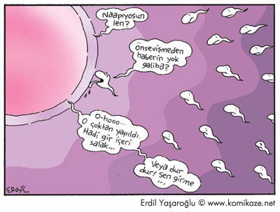 Bu spermler başka spermler :) sizce nasıllar beğenirsiniz umarım?