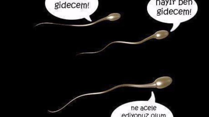 Bu spermler başka spermler :) sizce nasıllar beğenirsiniz umarım?