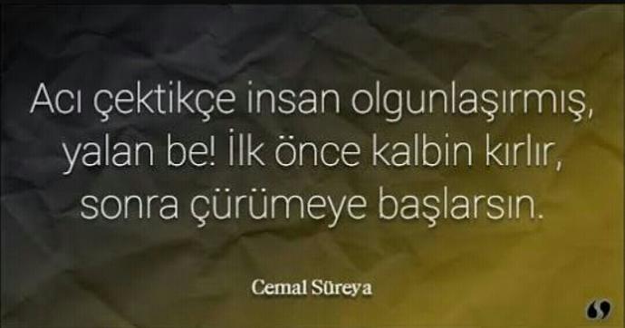 Acı çektikçe mi olgunlaşır insan yoksa mutluluğu paylaştıkça mı?