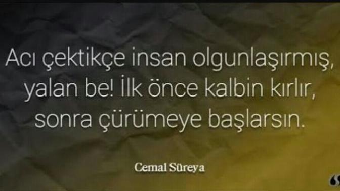 Acı çektikçe mi olgunlaşır insan yoksa mutluluğu paylaştıkça mı?