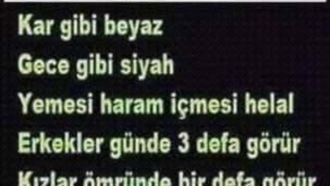 Bu Nedir Bilin Bakalım (Mantık Sorusu)?
