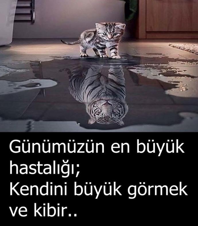 Günümüzün hastalığı nedir?