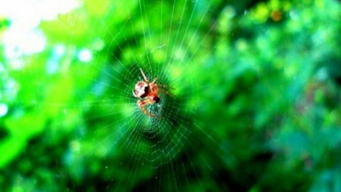 Sabır ve tahammül arasındaki fark nedir?