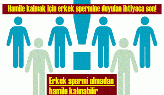 Kadın kemik iliğinden sperm üretilmiş, erkek olmadan hamile kalmak mümkünmüş. Bu konuda ne düşünüyorsunuz?