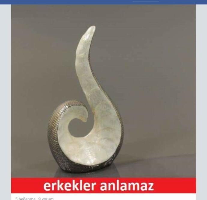 Kızlar bu fotoğrafta erkekler anlamaz diyor  çok merak ettim neden anlamaz ve bu nedir ?