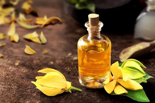 Ylang ylang yağı kullananlar?