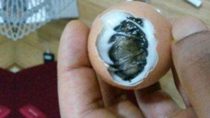 Kaynattiginiz yumurtayi soymaya başladınız ve baktiniz yumurta icinde ölü civciv ne yaparsınız?