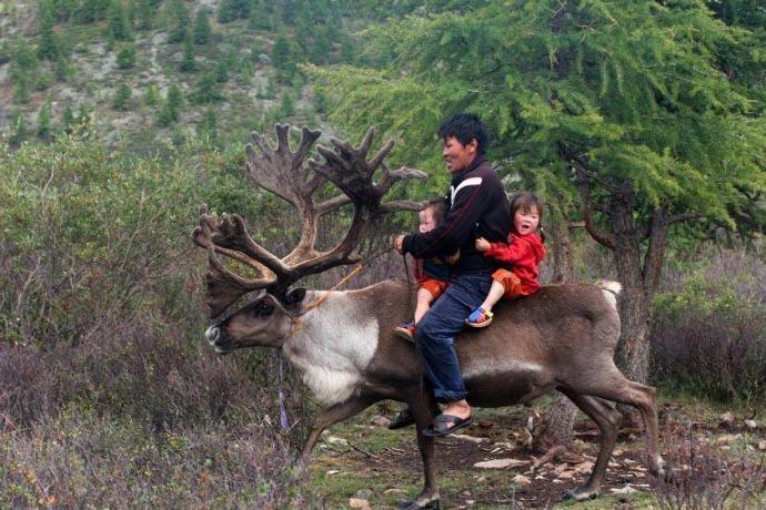 #TÜRKLERDE Yaşam Ağacı! ve Ağacın Yeri Nedir?
