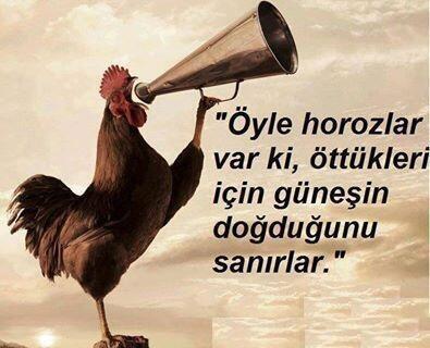 Biz insanlar kendimizi ne sanıyoruz?