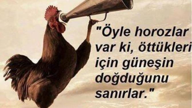 Biz insanlar kendimizi ne sanıyoruz?
