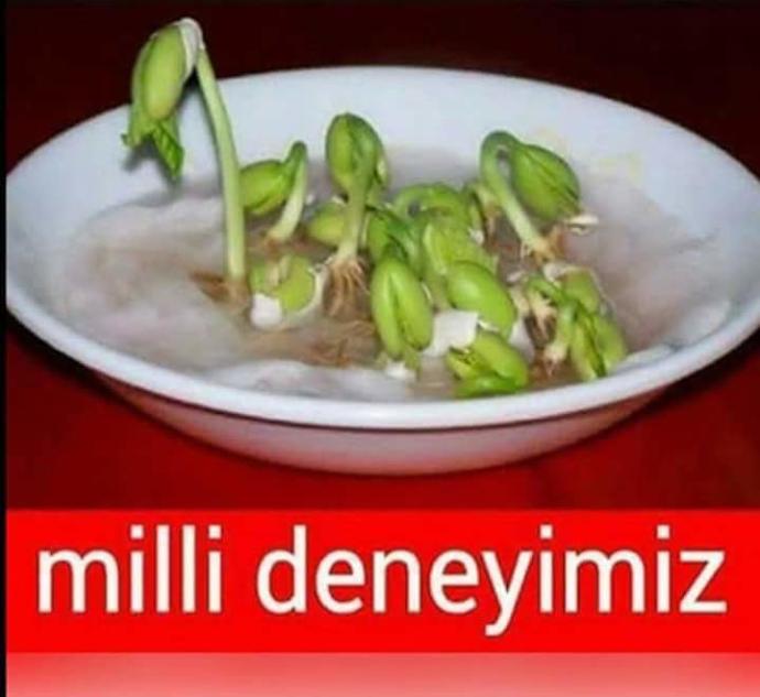 Milli deneyimiz? ?