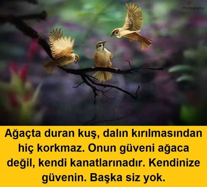 Ağaçta duran kus, dalin kırılmasindan hiç korkmaz onun güveni ağaca değil, kendi kanatlaridir. Kendinize güvenin. ?