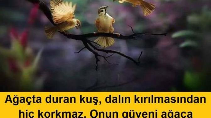 Ağaçta duran kus, dalin kırılmasindan hiç korkmaz onun güveni ağaca değil, kendi kanatlaridir. Kendinize güvenin. ?