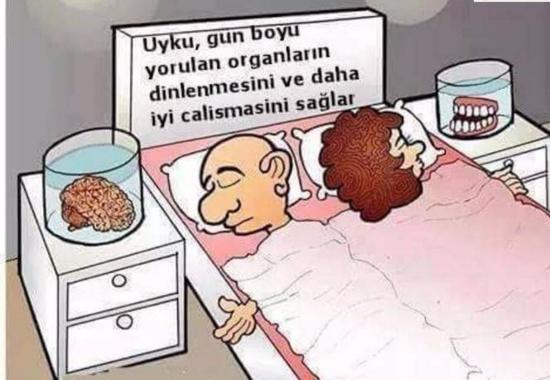 Bu karikatür hakkında ne düşünüyorsunuz ?