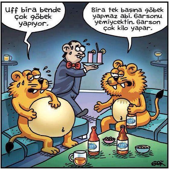 Bira gerçekten göbek yapar mı?
