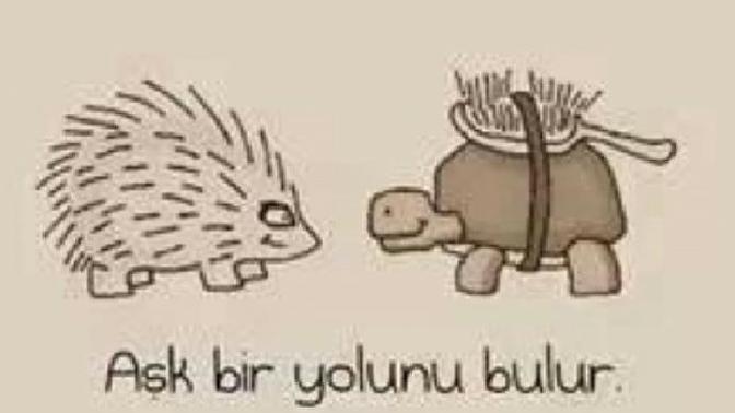 Aşk bir yolunu bulur mu gerçekten herzaman? Yoksa aşamadįğımız engeller cikabilir mi ortaya?