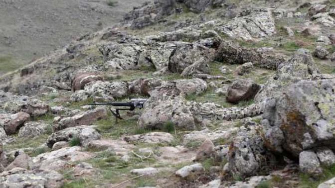 Hiç Bordo Bereli gördünüz mü?