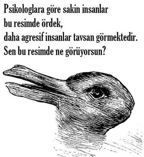 Resimde hangi hayvanı görüyorsunuz?
