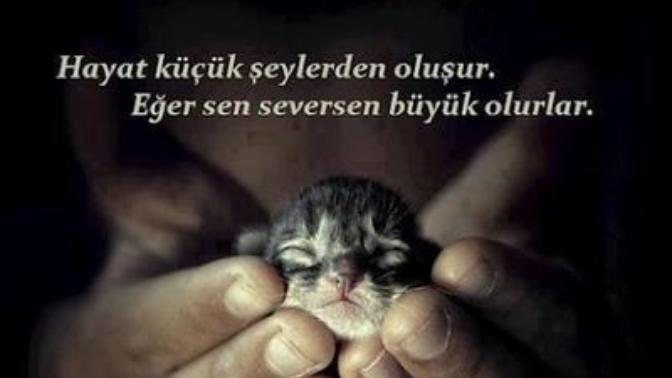 Küçük şeylerle mutlu olabilir misiniz?