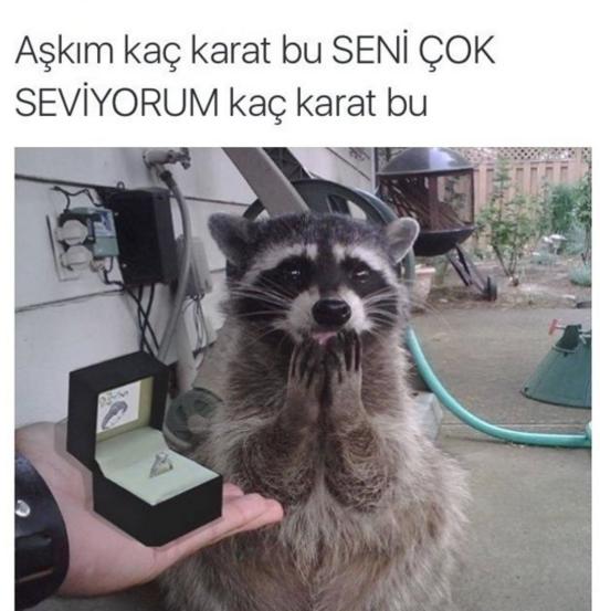 Kızlar niye bu kadar çok tek taş yüzüğü sever ?