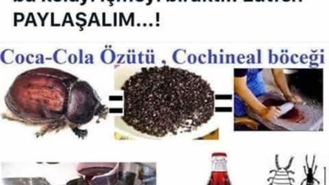 Coca colaya rengini veren bocek :/ ?