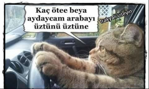 Trakya şivesinden bir iki kelime paylaşabilir misiniz?