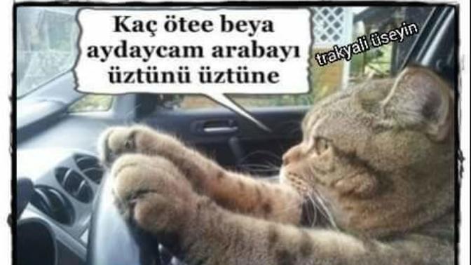 Trakya şivesinden bir iki kelime paylaşabilir misiniz?