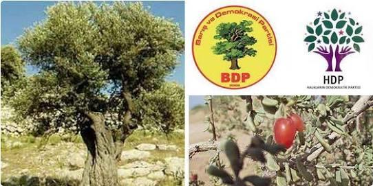 BDP/HDP parti logolarında ki ağaçlar Yahudilerin 