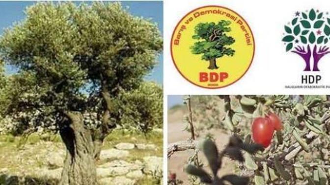 BDP/HDP parti logolarında ki ağaçlar Yahudilerin "GARGAT" Ağacı ola bilme ihtimali var mı?