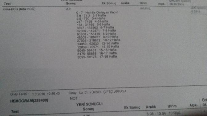 Hamilelik testi kan sonucu  bir  bakarmısınız?