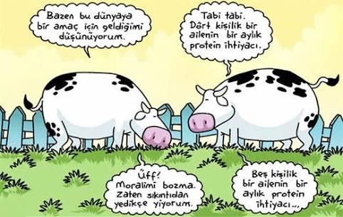 Yemek yemek senin için ne ifade ediyor?