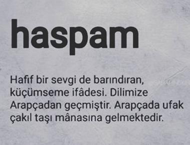 Haspam ne demek? Kötü bir kelime mi? Ne amaçla bir bayana söylenir?