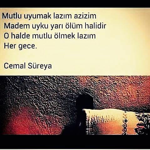 Herkese iyi geceler sevenlere sevmeyenlere özleyenlere ozleyipte acı çekenlere iyi geceler?Detaya bakabilirmisiniz?