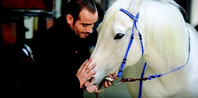 Eküri ne demek, eküri anlamı nedir, ne için kullanılır?