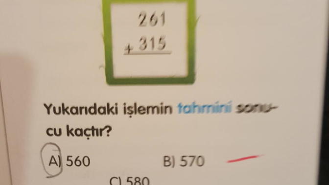 "Tahmin sonucu" ne demektir?