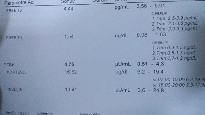 Hormon testinde gebelik cikar mi?