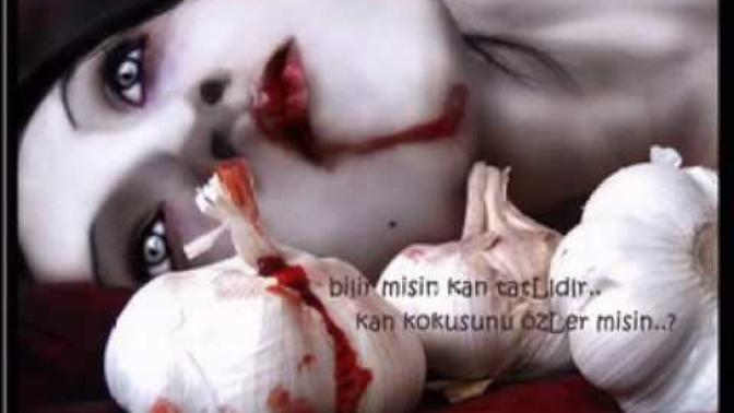 Dedim ya guzelim sen hiç ölumun gölgesinde özgürlük yaşadın mı?
İbnesine, kahpesine, namerdine kurşun yağdırdın mı?