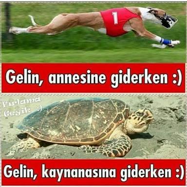Gelin annesine giderken nasıl gider sizce?