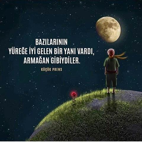 Küçük Prens kitabi sizin icin ne kadar özel?