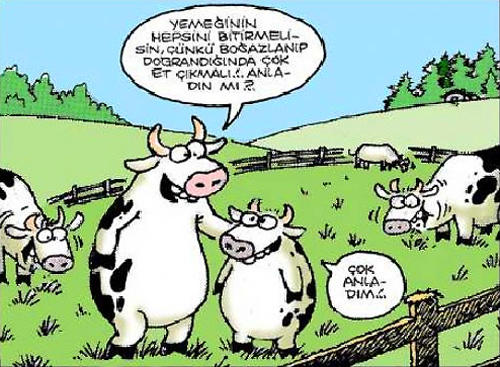 Neyin peşindesin?