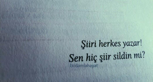 Şiiri herkes yazar. Sen hiç şiir sildin mi?