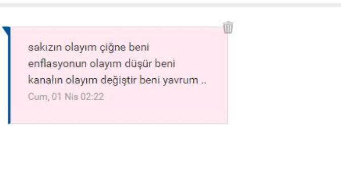 Kızlar size de böyle sapık mesajlar geliyor mu?