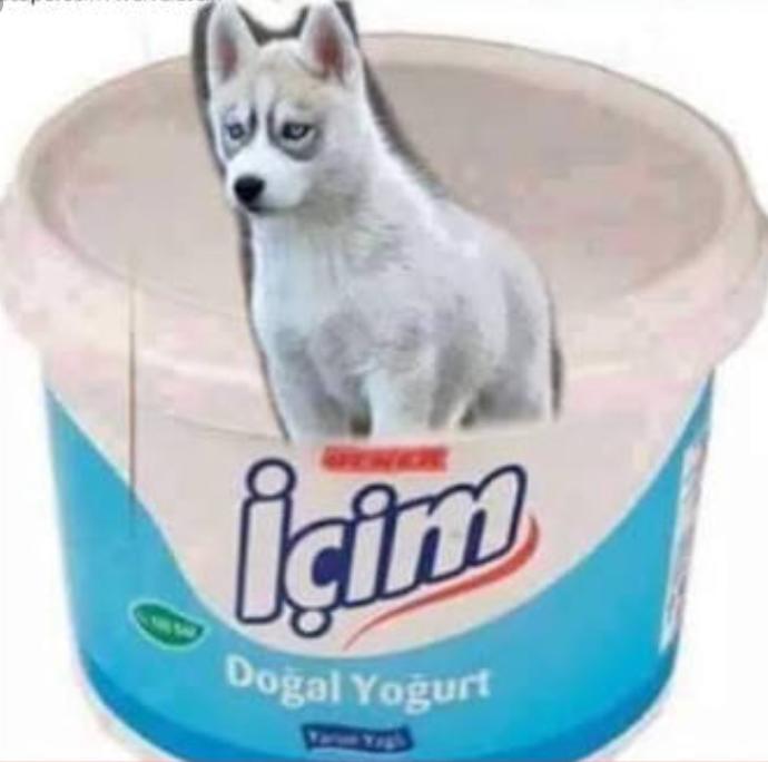 İçime bir kurt düştü ne yapmalıyım?