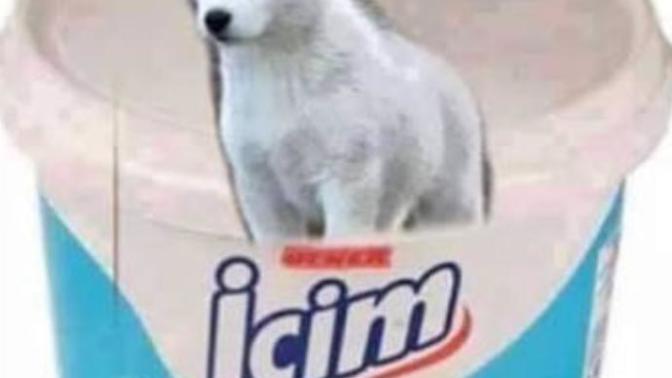 İçime bir kurt düştü ne yapmalıyım?