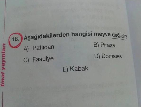 Aşağıdakilerin hangisi meyve değildir ?